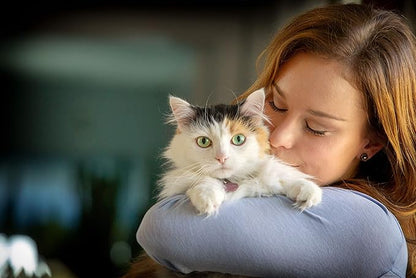 I clover spry respitory and ocular support cat treats 2.1 oz