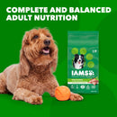 IAMS Adult Minichunks Small Kibble High Protein Dry Dog Food with Real Chicken, 3.3 lb. Bag - 019014610860