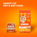 IAMS PROACTIVE HEALTH Adult Healthy Dry Cat Food with Chicken Cat Kibble - 3.5 lb Bag - dry cat food - 019014712564