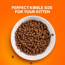 IAMS Proactive Health - Healthy Kitten Dry Cat Food with Chicken Cat Kibble - 3.5 lb Bag - dry cat food - 019014712496