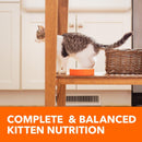 IAMS Proactive Health - Healthy Kitten Dry Cat Food with Chicken Cat Kibble - 3.5 lb Bag - dry cat food - 019014712496