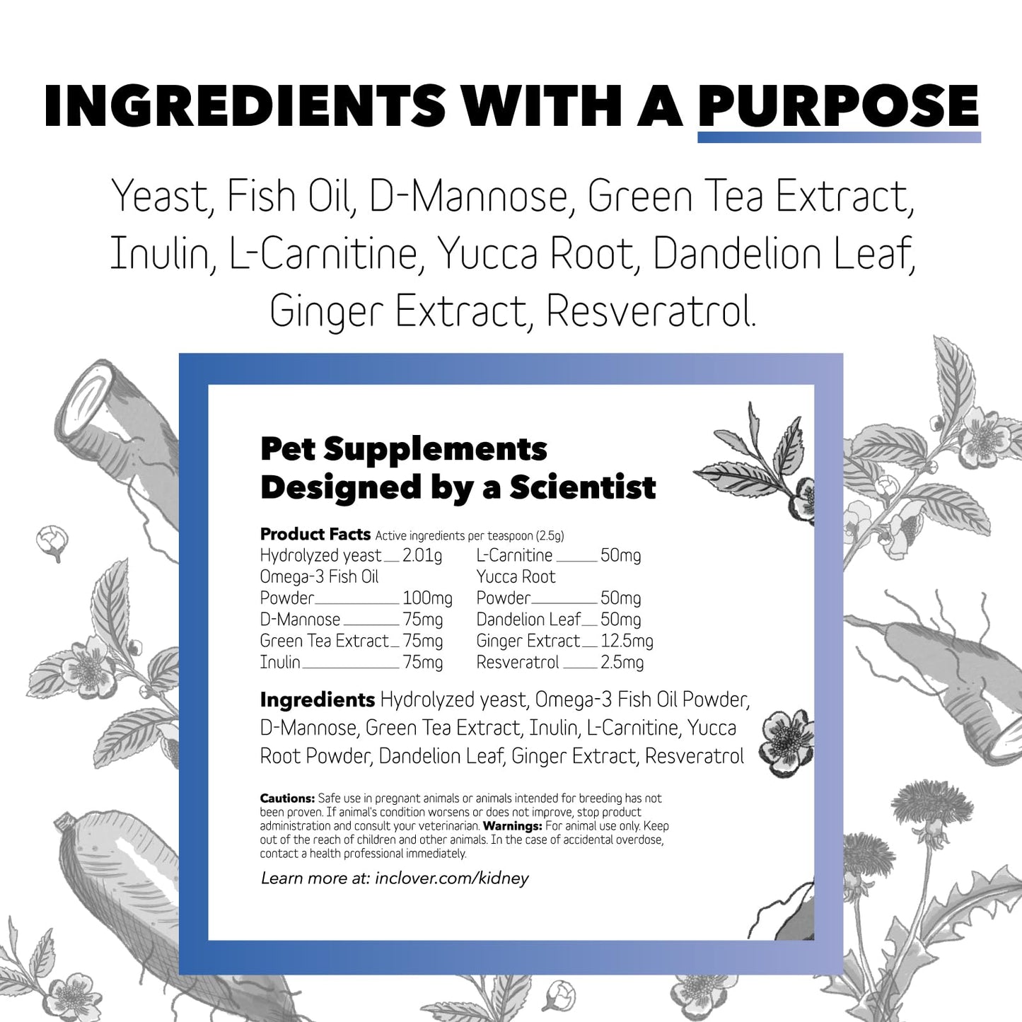 In Clover Bioren Kidney Health For Dogs & Cats