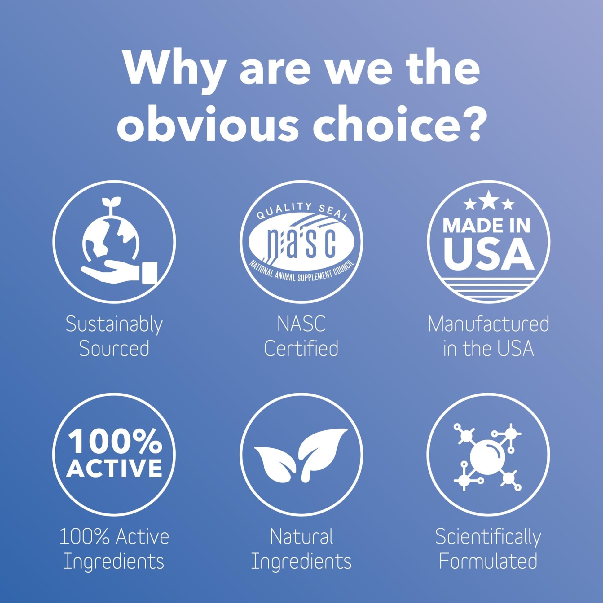 In Clover Bioren Kidney Health For Dogs & Cats