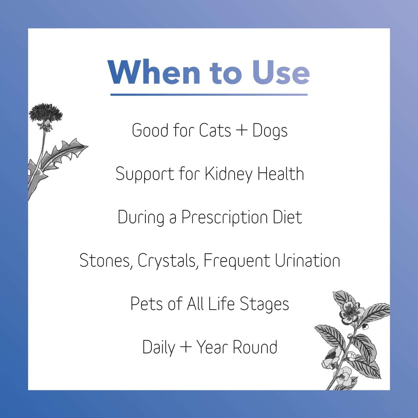 In Clover Bioren Kidney Health For Dogs & Cats