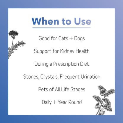 In Clover Bioren Kidney Health For Dogs & Cats
