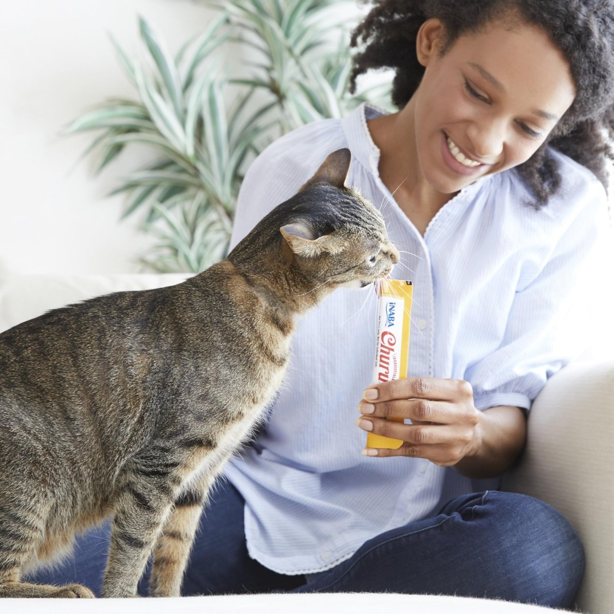 INABA Churu Grain - Free Squeezable Creamy Purée Cat Treat with Vitamin E & Taurine - Chicken Variety - 0.5 Ounces Each Tube - 40 Tubes - cat treat - 850030015532