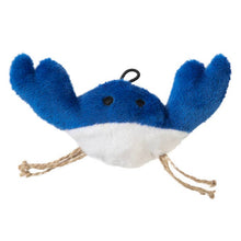 JW flashee crab cat toy touch activated multi color cat toy