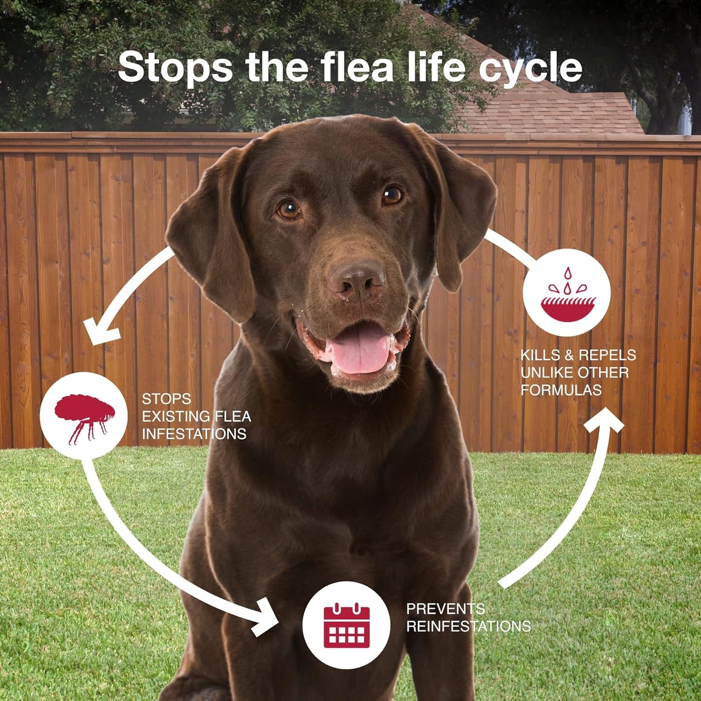 K9 Advantix ll flee and tick 1 dose