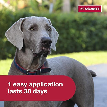 K9 Advantix ll flee and tick 1 dose