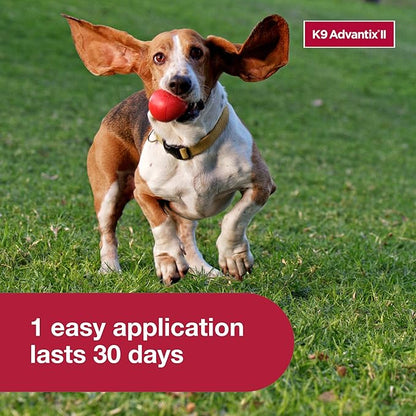K9 Advantix ll tick and flea repellent small dog 1 dose