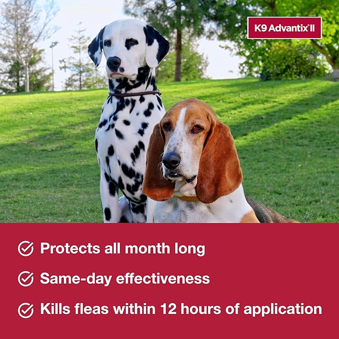 K9 Advantix ll tick and flea repellent small dog 1 dose