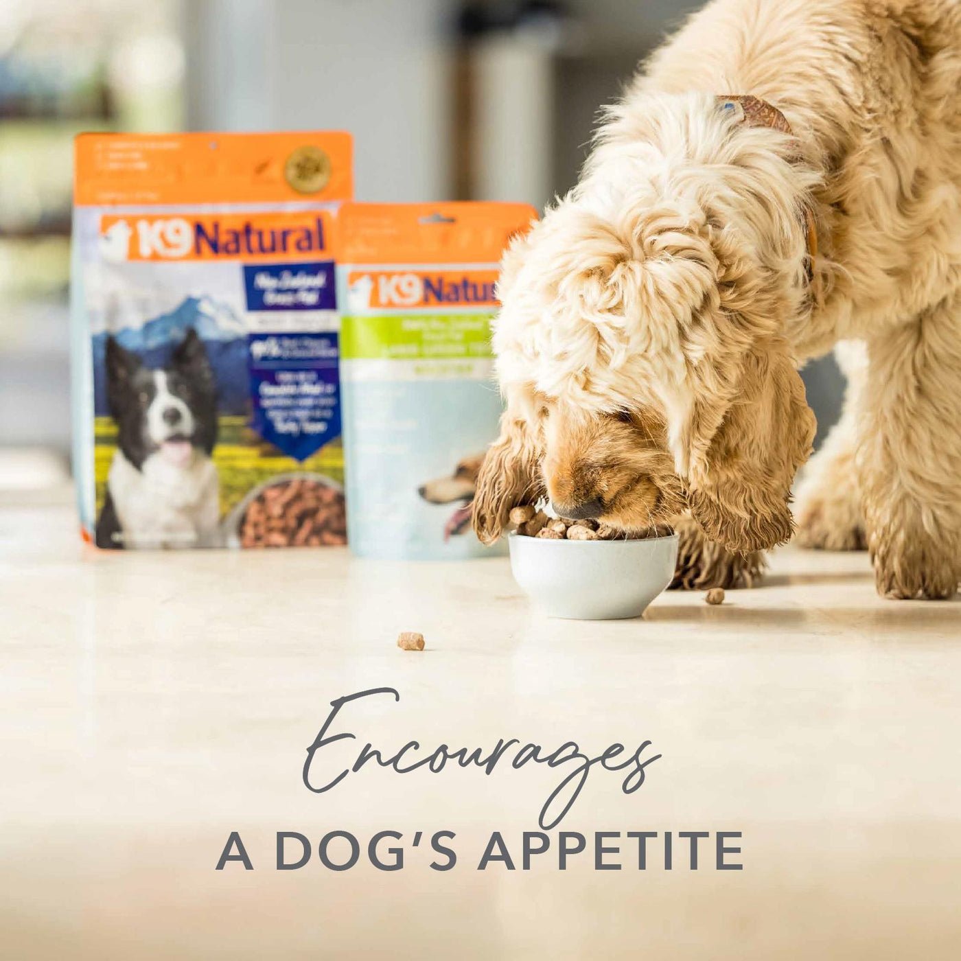 K9 Natural beef green tripe booster dog superfood