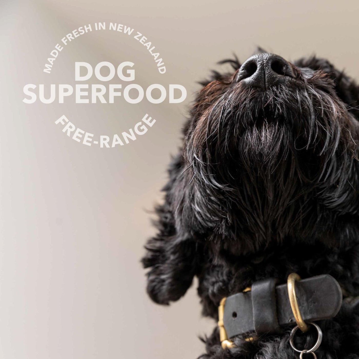 K9 Natural beef green tripe booster dog superfood