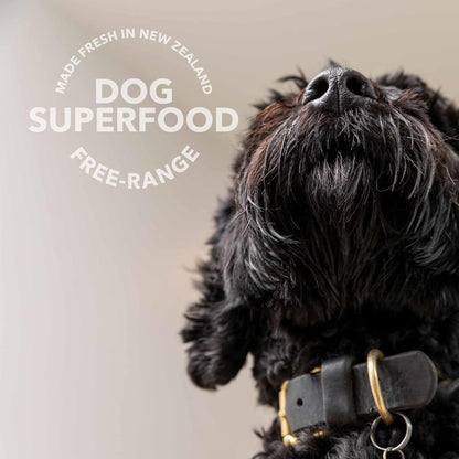 K9 Natural New Zealand lamb green tripe booster healthy digestion dog super food 2 oz