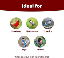 Kaytee Birders Blend Wild Bird Food 7lbs