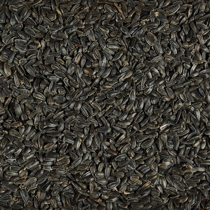 Kaytee Black Oil Sunflower Wild Bird Food, 5 Pounds - 071859020235