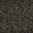 Kaytee Black Oil Sunflower Wild Bird Food, 5 Pounds - 071859020235