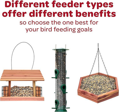 Kaytee sunflower treat bell bird treat