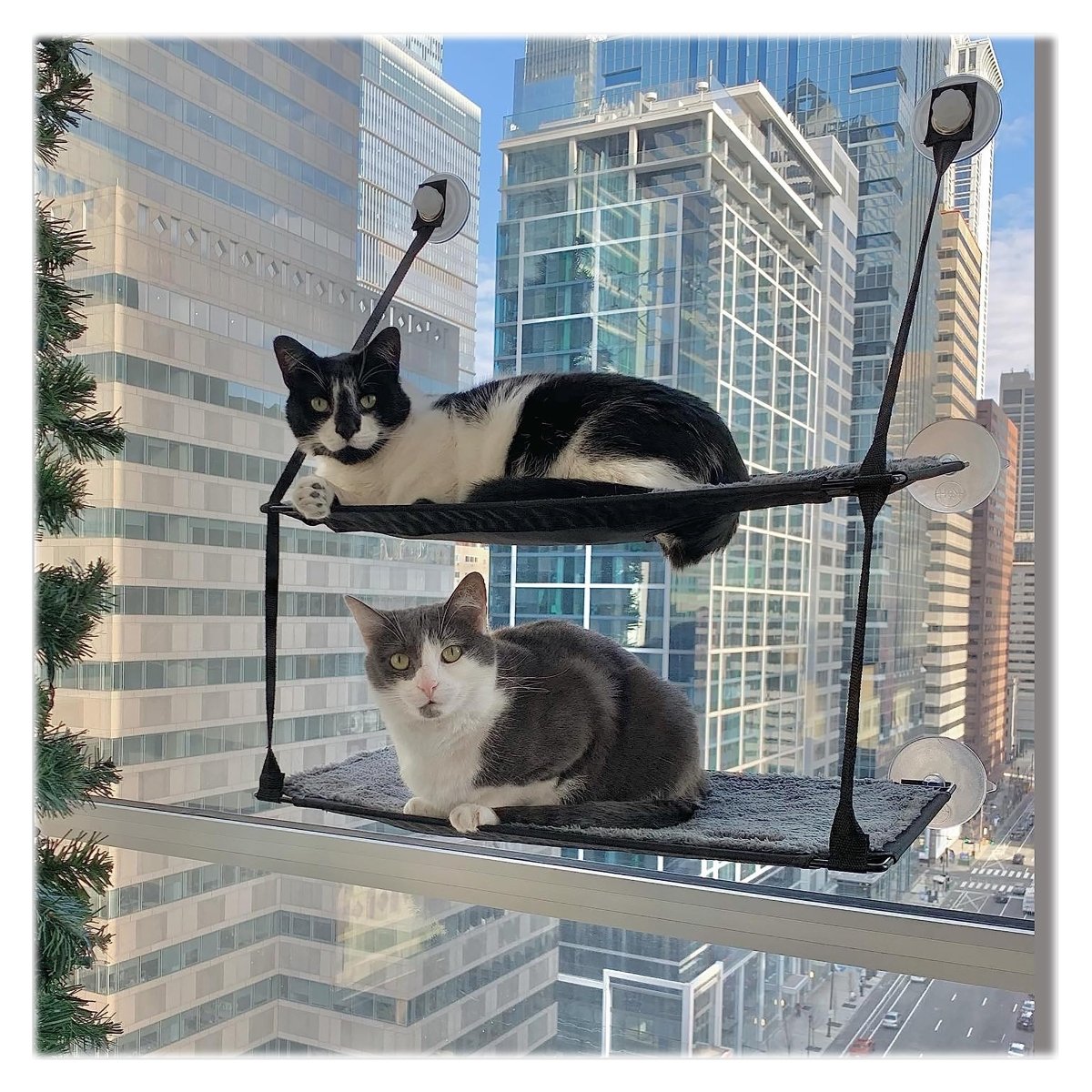 Archie Stack K&H Pet EZ Mount Window Sill Cat Bed - Double Stack Gray – Rowdy ...
