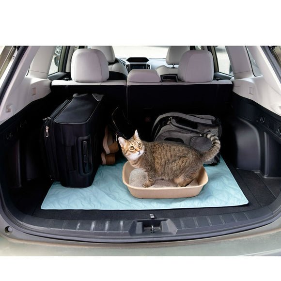 Kitty sift disposable litter box large