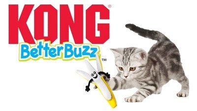 Kong better buzz catnip cat toy banana