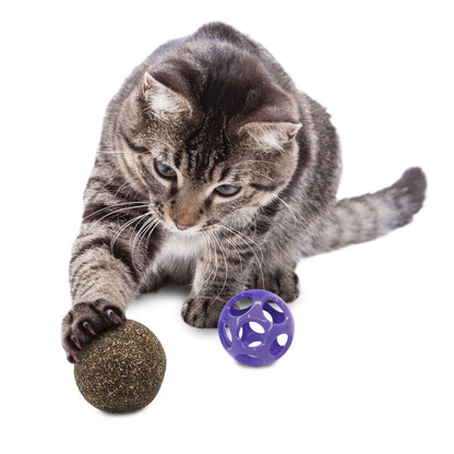 Kong blissy catnip cat toy ball