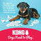 KONG - Classic Dog Toy, Durable Natural Rubber - Fun to Chew, Chase and Fetch - for Medium Dogs - 035585111216