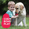 KONG - Classic Dog Toy - Durable Natural Rubber - Fun to Chew, Chase and Fetch - for Small Dogs - 035585111315