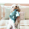 KONG - Comfort Kiddos Bear - Fun Plush Dog Toy with Removable Squeaker - for Small Dogs - 035585360256