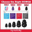 KONG - Extreme Dog Toy - Toughest Natural Rubber, Black - Fun to Chew, Chase & Fetch - for Medium Dogs - 035585111148