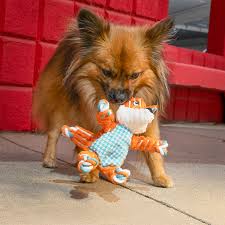 Kong floppy knots dog toy