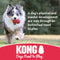 KONG - Flyer - Durable Rubber Flying Disc Dog Toy - For Small Dogs - 035585129174