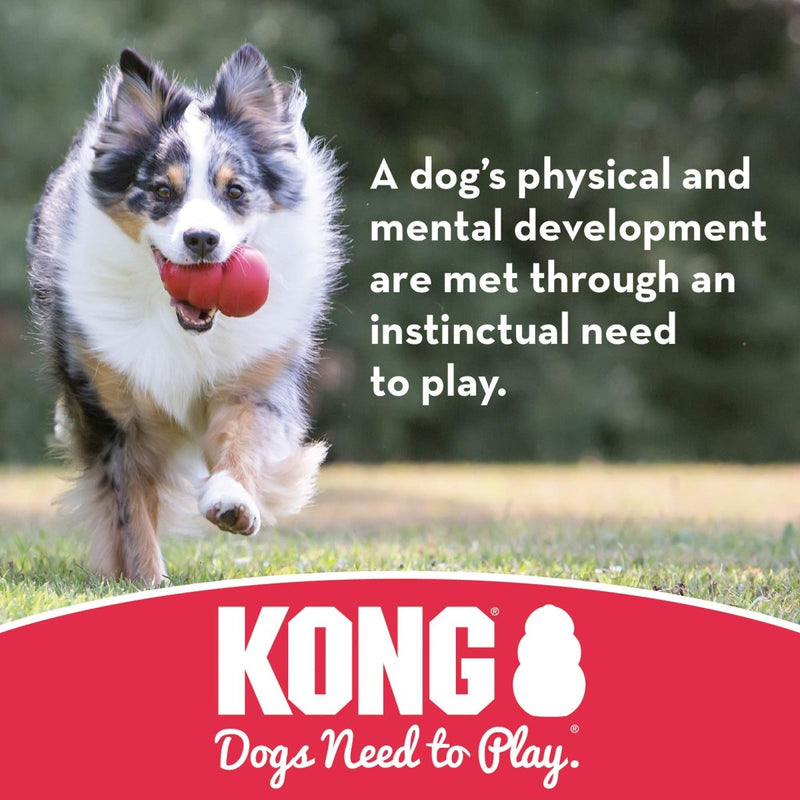 KONG - Flyer - Durable Rubber Flying Disc Dog Toy - For Small Dogs - 035585129174