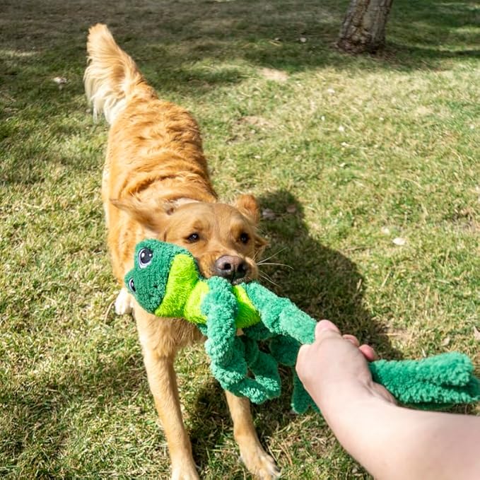 Kong frog knots plush dog toy large frog dog toy squeaky knots rope plush