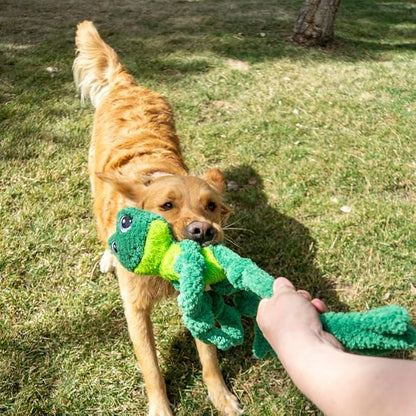 Kong frog knots plush dog toy large frog dog toy squeaky knots rope plush
