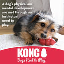 KONG Goodie Bone - Rubber Dog Toy - Dental Dog Toy for Teeth & Gum Health - Durable Dog Chew Toy - Hard Rubber Bone for Dogs - Fillable Toy for Dispensing Treats - Medium Dogs - 611932100111