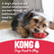 KONG Goodie Bone - Rubber Dog Toy - Dental Dog Toy for Teeth & Gum Health - Durable Dog Chew Toy - Hard Rubber Bone for Dogs - Fillable Toy for Dispensing Treats - Medium Dogs - 611932100111