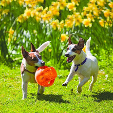 KONG - Jumbler Ball - Interactive Fetch Dog Toy with Tennis Ball - for Medium/Large Dogs (Assorted Colors)