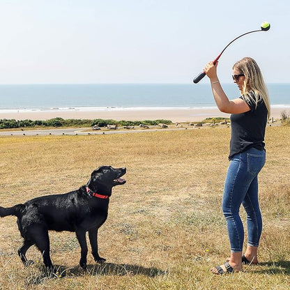 Kong launch handipad all in one large handle dog ball launcher