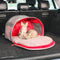 KONG Pet Carrier & Travel Mat For Pets - 2 - In - 1 - 810381033562