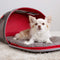 KONG Pet Carrier & Travel Mat For Pets - 2 - In - 1 - 810381033562