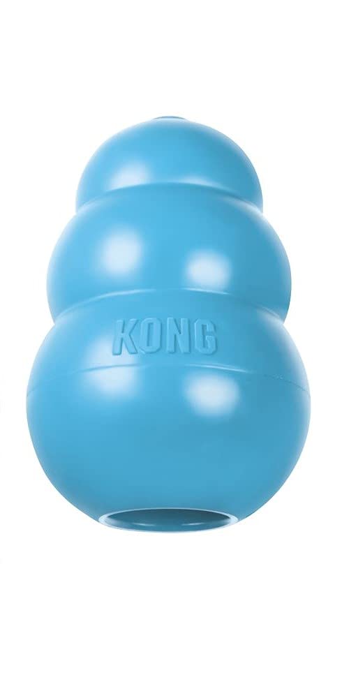 KONG - Puppy Toy Natural Teething Rubber - Fun to Chew, Chase and Fetch - For Medium Puppies - Blue - 035585131214