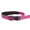 KONG Reflective Shock Absorbing Hands - Free Bungee Dog Leash - 6' - Pink - dog leash - 737257983588