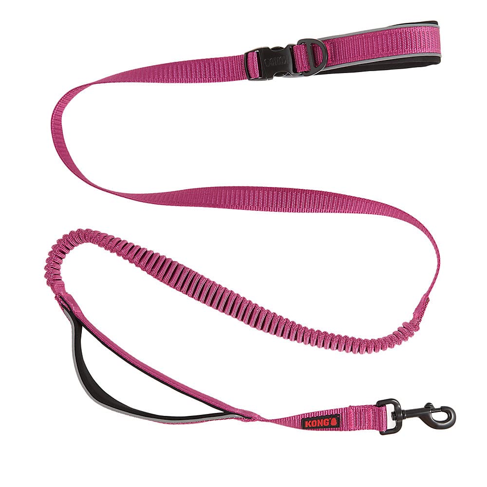 KONG Reflective Shock Absorbing Hands - Free Bungee Dog Leash - 6' - Pink - dog leash - 737257983588