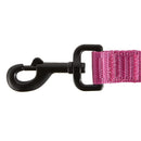 KONG Reflective Shock Absorbing Hands - Free Bungee Dog Leash - 6' - Pink - dog leash - 737257983588