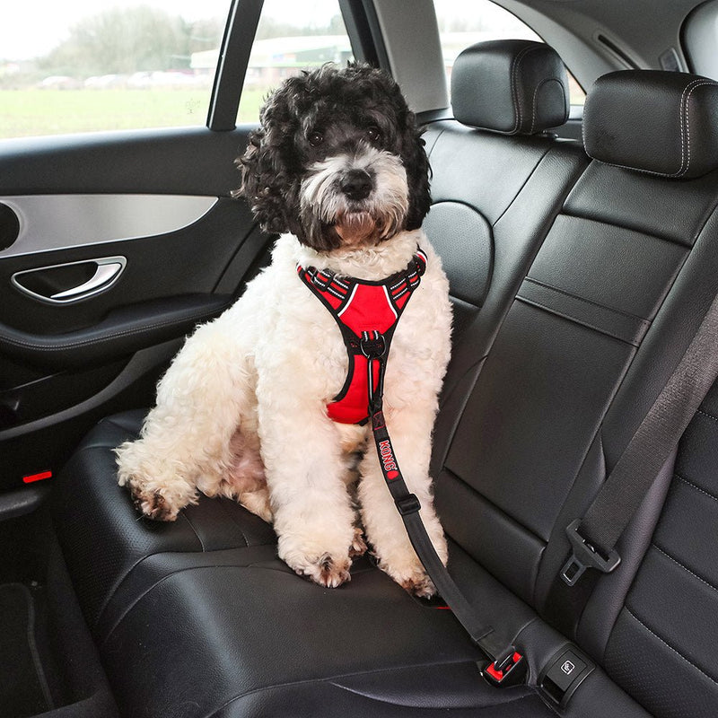 KONG Seat Belt Tether For Pets - Premium quality - 810381033593