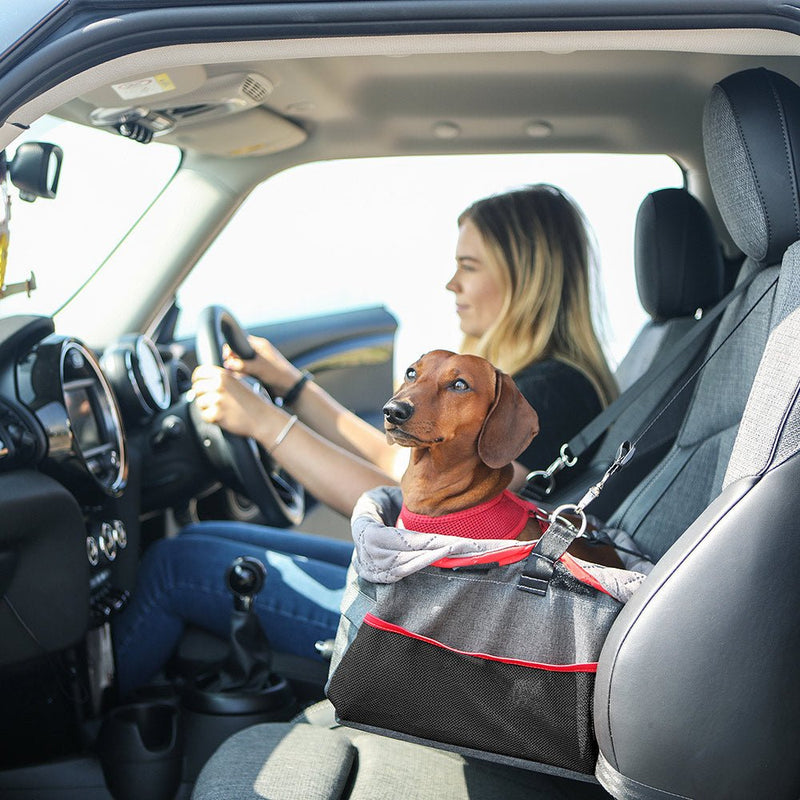 KONG Secure Booster Seat For Pets - High quality and Safe - 810381033548