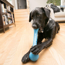 KONG Squeakstix Dog Chew Toy | Medium - Blue