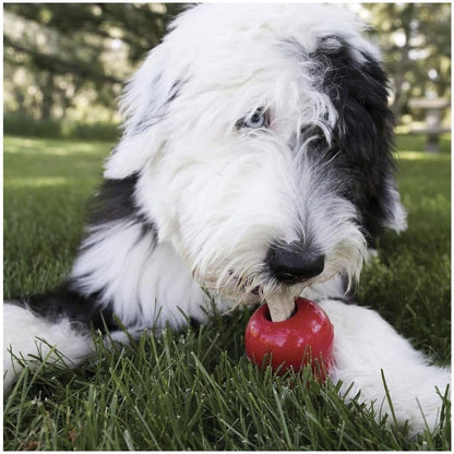 Kong Stuff'N Ziggies - Adult Dogs Original Recipe (Small - 7 Oz)