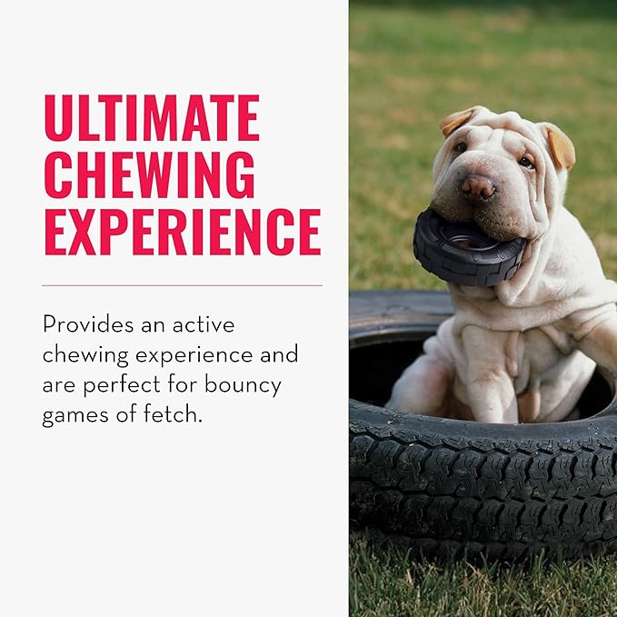 Kong tires small petit dog toy power chewers